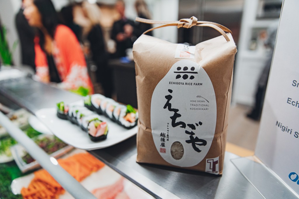 Seatopia | Arizona Brand & Food&nbsp;Photographer